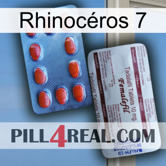 Rhinocéros 7 36